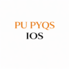 IOS PU PYQS